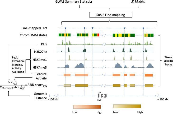 Connally et al., eLife (2022)